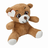 bruin